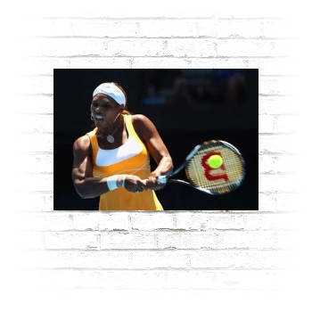 Serena Williams Poster