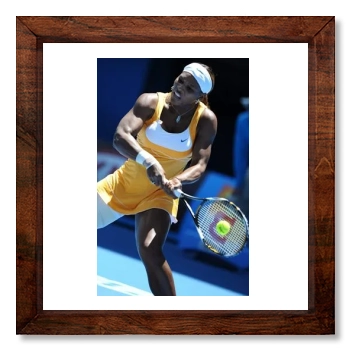 Serena Williams 12x12