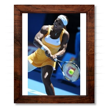 Serena Williams 14x17