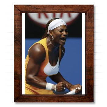 Serena Williams 14x17