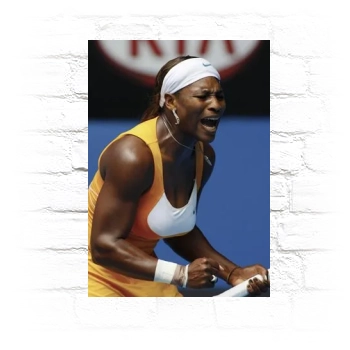 Serena Williams Metal Wall Art