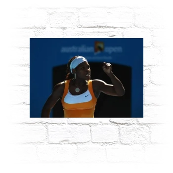 Serena Williams Metal Wall Art