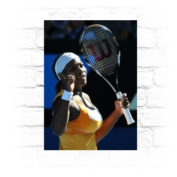 Serena Williams Metal Wall Art