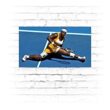 Serena Williams Poster