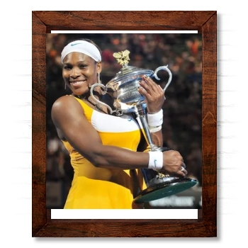 Serena Williams 14x17