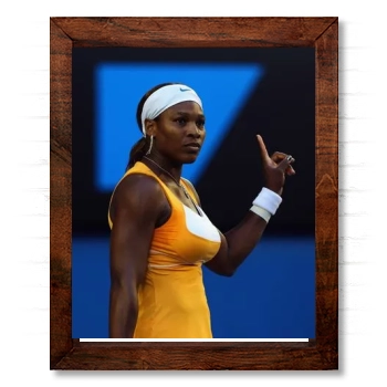 Serena Williams 14x17