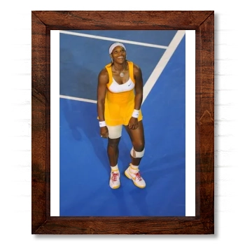 Serena Williams 14x17