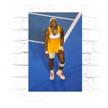 Serena Williams Metal Wall Art