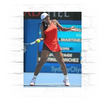 Serena Williams Metal Wall Art