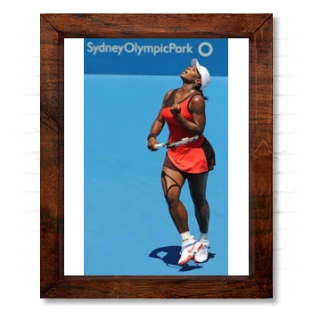 Serena Williams 14x17