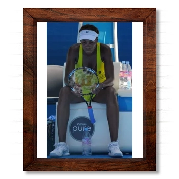 Serena Williams 14x17