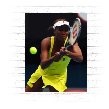 Serena Williams Poster