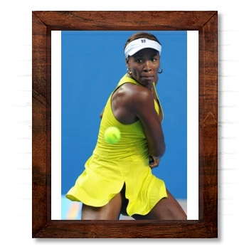 Serena Williams 14x17