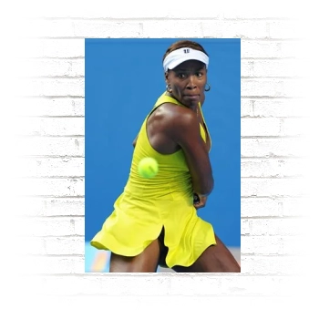 Serena Williams Poster