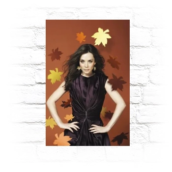 Anna Friel Metal Wall Art