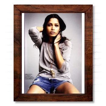 Freida Pinto 14x17