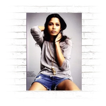 Freida Pinto Poster