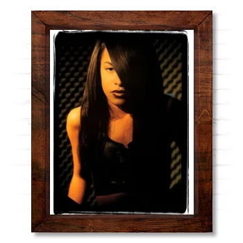 Aaliyah 14x17