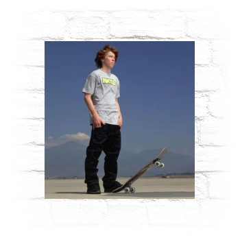 Shaun White Metal Wall Art