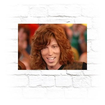 Shaun White Metal Wall Art