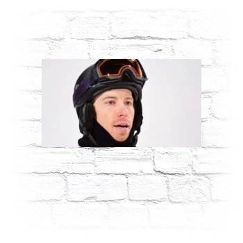 Shaun White Metal Wall Art