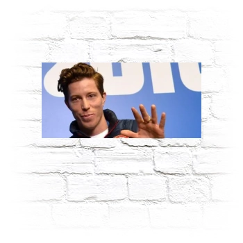 Shaun White Metal Wall Art