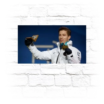 Shaun White Metal Wall Art