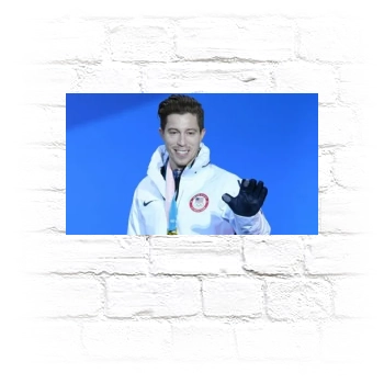 Shaun White Metal Wall Art