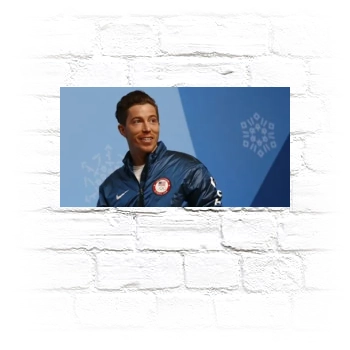 Shaun White Metal Wall Art