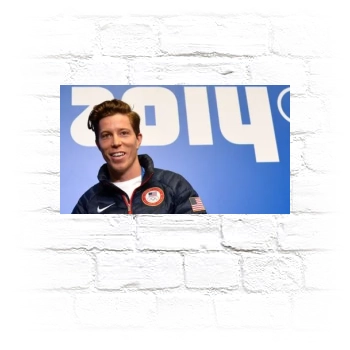 Shaun White Metal Wall Art