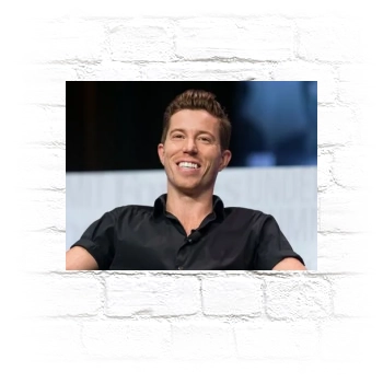 Shaun White Metal Wall Art