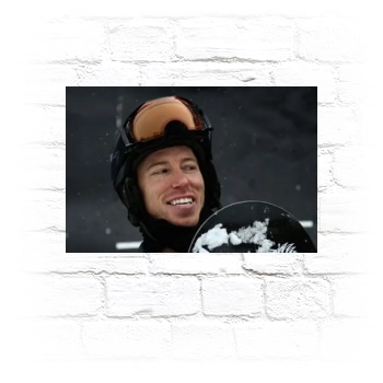 Shaun White Metal Wall Art