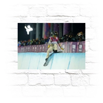 Shaun White Metal Wall Art