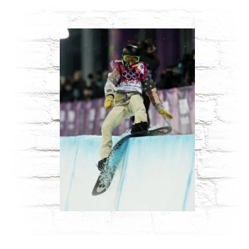 Shaun White Metal Wall Art