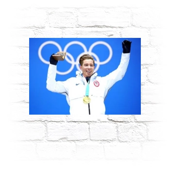 Shaun White Metal Wall Art