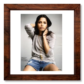 Freida Pinto 12x12