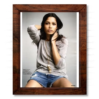 Freida Pinto 14x17