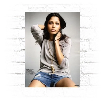 Freida Pinto Metal Wall Art