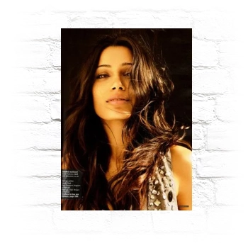 Freida Pinto Metal Wall Art