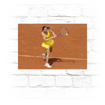 Jelena Jankovic Metal Wall Art