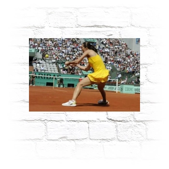 Jelena Jankovic Metal Wall Art