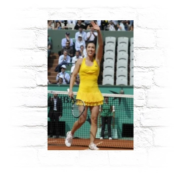 Jelena Jankovic Metal Wall Art