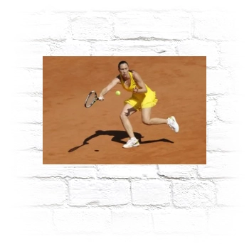 Jelena Jankovic Metal Wall Art