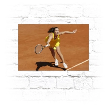 Jelena Jankovic Metal Wall Art