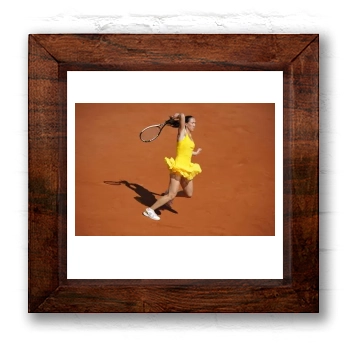 Jelena Jankovic 6x6