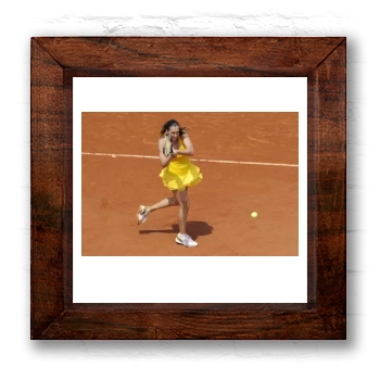 Jelena Jankovic 6x6