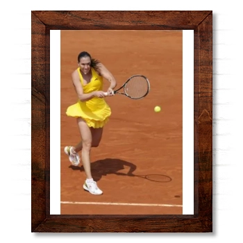 Jelena Jankovic 14x17