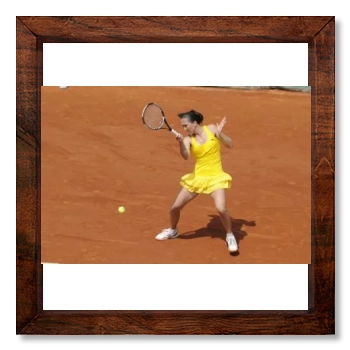 Jelena Jankovic 12x12