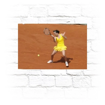 Jelena Jankovic Metal Wall Art