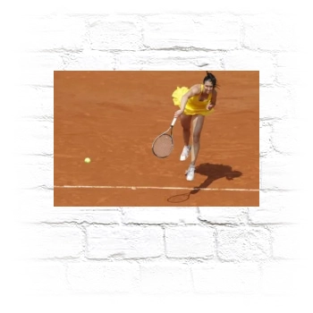 Jelena Jankovic Metal Wall Art